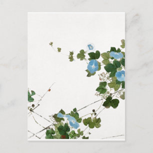 Carte Postale Illustration Fleurs vintages