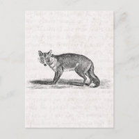 Illustration Foxy Fox vintage - Renards des années