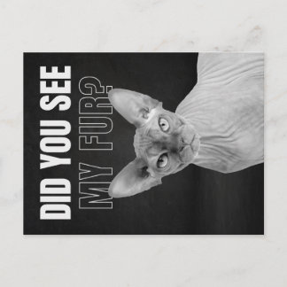 Carte Postale Illustration humoristique de chat Sphynx sarcastiq