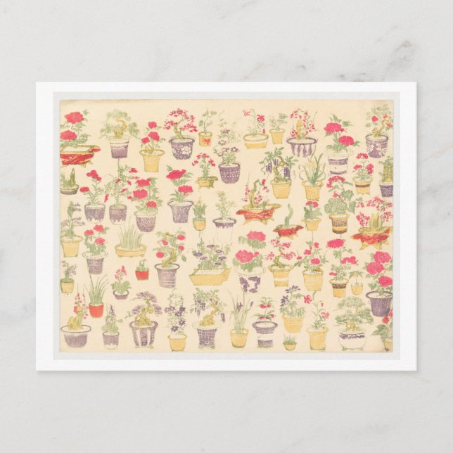 Carte Postale Illustration japonaise de Plantes en pots / Bonsai (Devant)