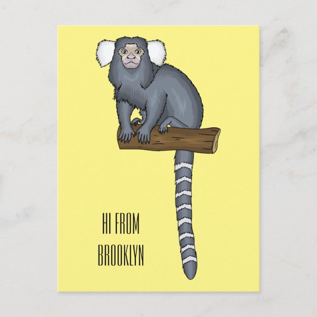 Carte Postale Illustration marmoset commune (Devant)