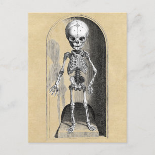 Carte Postale Illustration Médicale de Bidloo (antérieure)