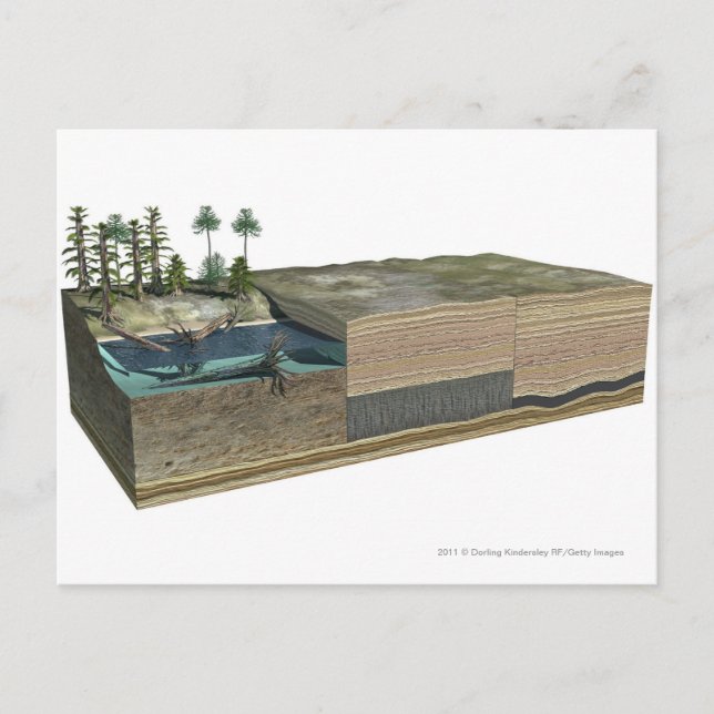 Carte Postale Illustration montrant la formation de charbon (Devant)
