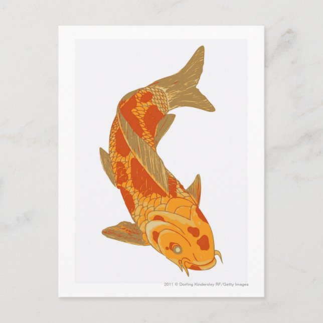 Carte Postale Illustration numérique de Koi Carp (Devant)
