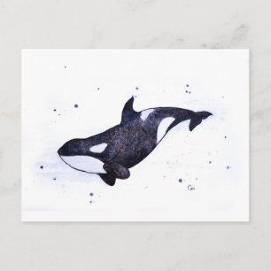 Carte Postale Illustration Orca Killer whale