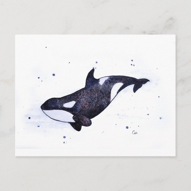 Carte Postale Illustration Orca Killer whale (Devant)