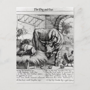 Carte Postale Illustration pour 'Le chien et le boeuf'
