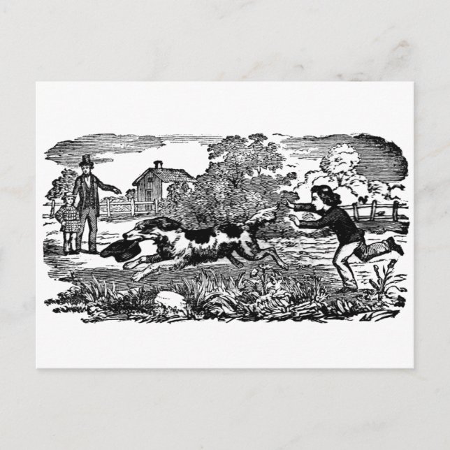Carte Postale Illustration victorienne d'art antique d'animal de (Devant)