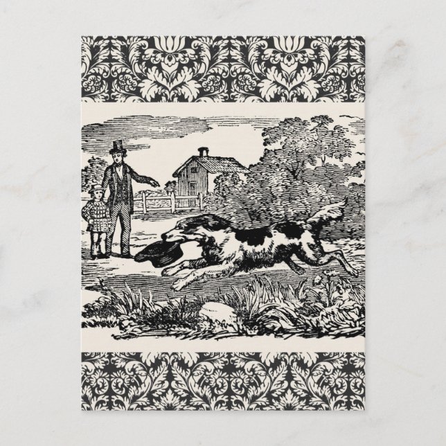Carte Postale Illustration victorienne d'art antique d'animal de (Devant)