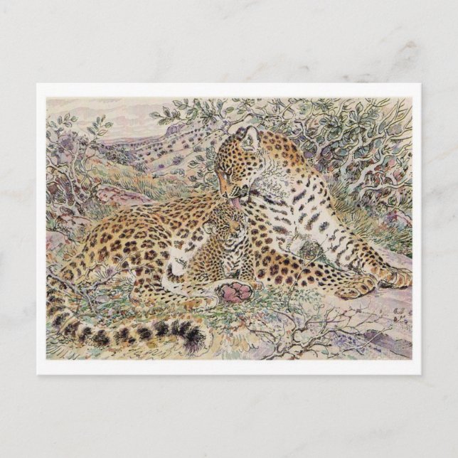 Carte postale Illustration vintage (Devant)