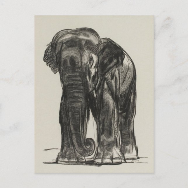 Carte postale Illustration vintage (Devant)