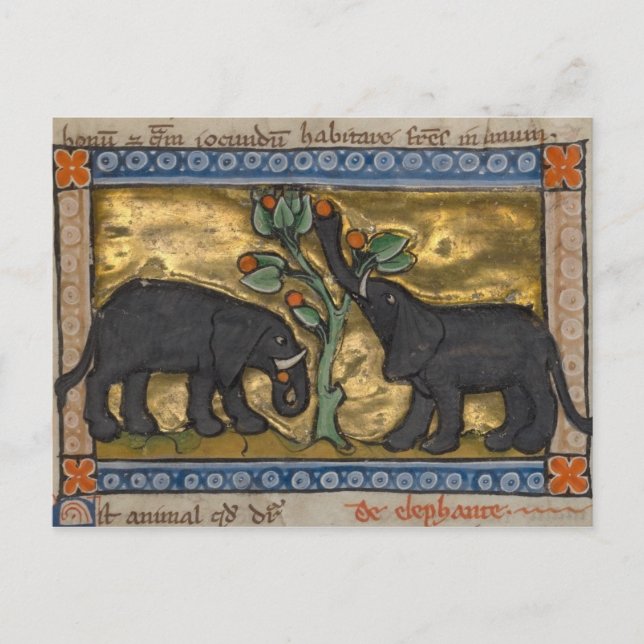 Carte postale Illustration vintage (Devant)