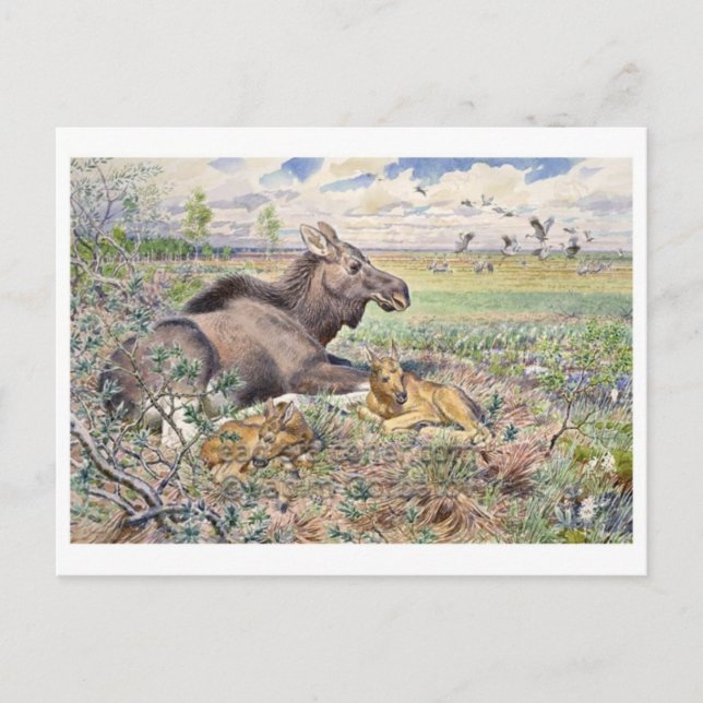 Carte postale Illustration vintage (Devant)