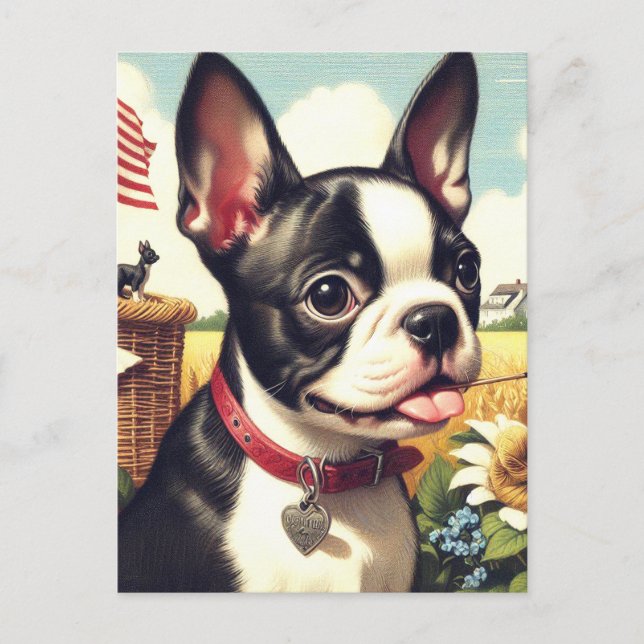 Carte Postale Illustration vintage Boston Terrier (Devant)