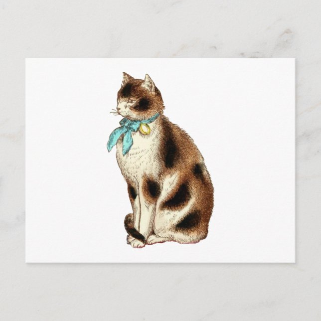 Carte Postale Illustration vintage de chat (Devant)