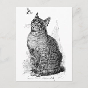 Carte Postale Illustration vintage de Chat observant un insecte