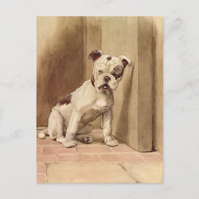 Carte Postale Illustration vintage de chiot Bulldog (Devant)