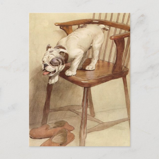 Carte Postale Illustration vintage de chiot Bulldog (Devant)