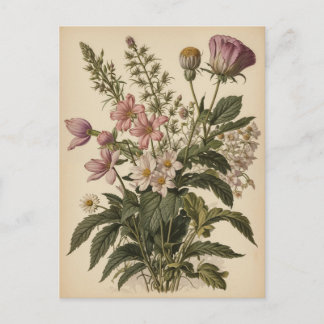 Carte Postale Illustration vintage de fleurs sauvages 
