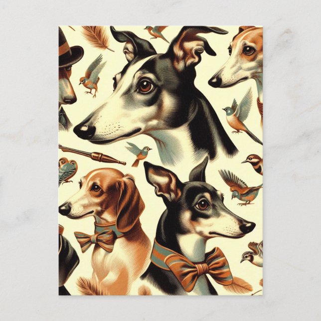 Carte Postale Illustration vintage de Greyhound (Devant)