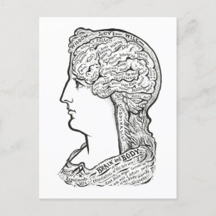 Carte Postale Illustration vintage de la connexion Cerveau-Corps