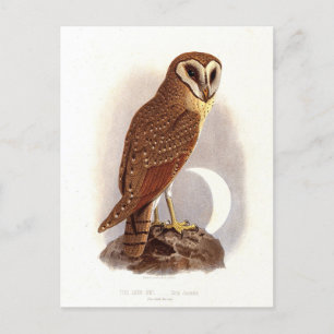 Carte Postale Illustration Vintage de la propriété Java
