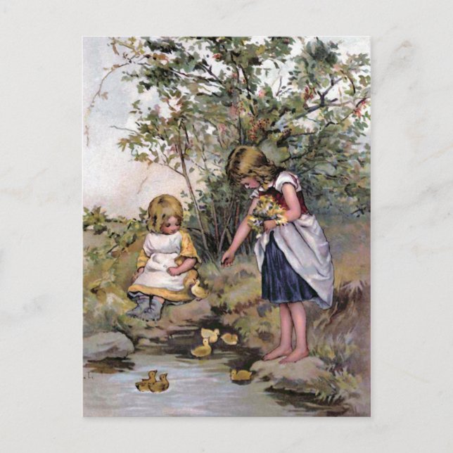 Carte Postale Illustration Vintage de l'alimentation des canards (Devant)