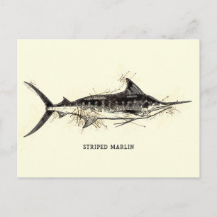 Carte Postale Illustration Vintage de marlin tripée Croquis