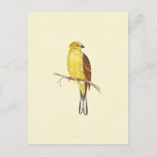 Carte Postale Illustration Vintage de marteau jaune