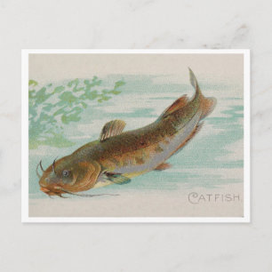 Carte Postale Illustration vintage de poisson-poisson