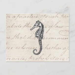 Carte Postale Illustration vintage des années 1800 de l'Hawaiian