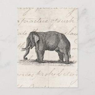 Carte Postale Illustration vintage des années 1800 - Eléphants