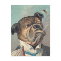 Illustration Vintage des chiens et des guêpes