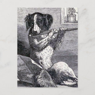 Carte Postale Illustration Vintage "Dog Playing the Flute"