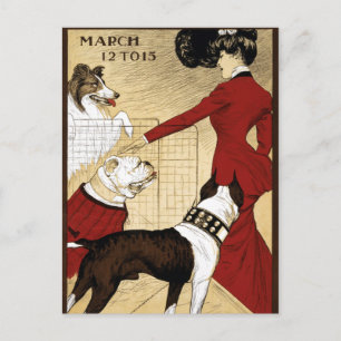 Carte Postale Illustration vintage Dog Show Art Antique