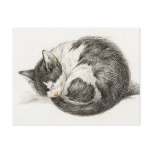 Illustration Vintage du chat couché