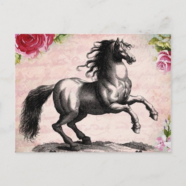 Carte Postale Illustration vintage du cheval (Devant)