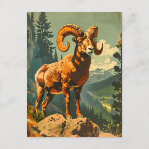 Carte Postale Illustration vintage du mouton de Bighorn