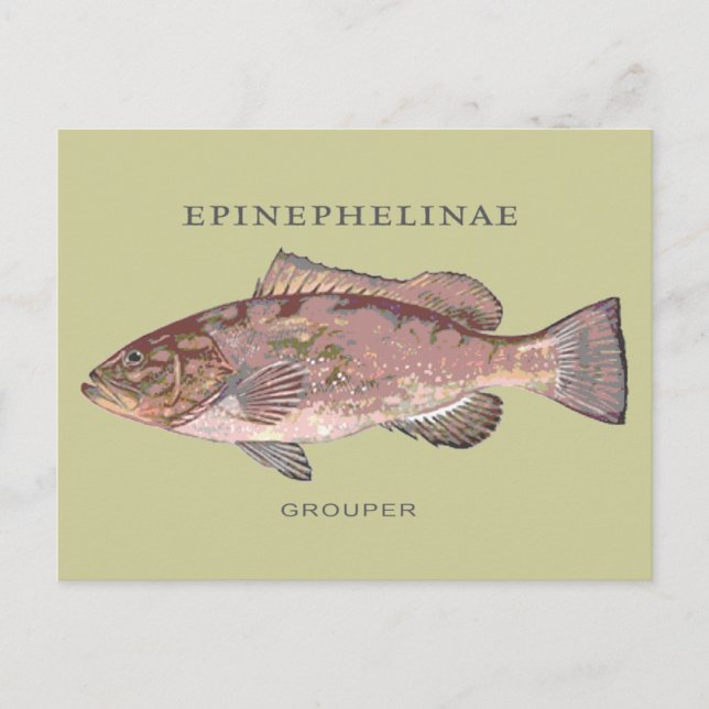 Carte Postale Illustration Vintage du poisson de groupe (Devant)