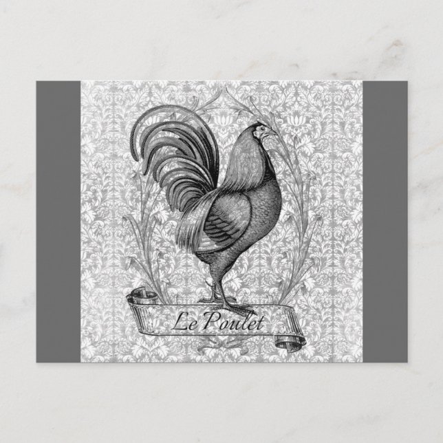 Carte Postale Illustration vintage du poulet (Devant)