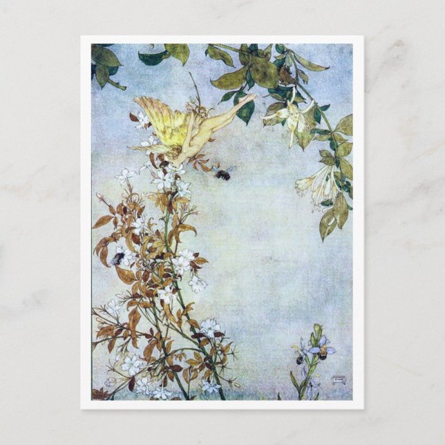 Carte Postale Illustration vintage Edmund Dulac Tempest (Devant)