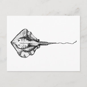 Carte Postale Illustration vintage en noir et blanc de raie past