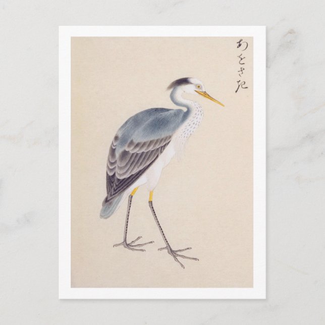 Carte Postale Illustration vintage : Heron gris (Devant)