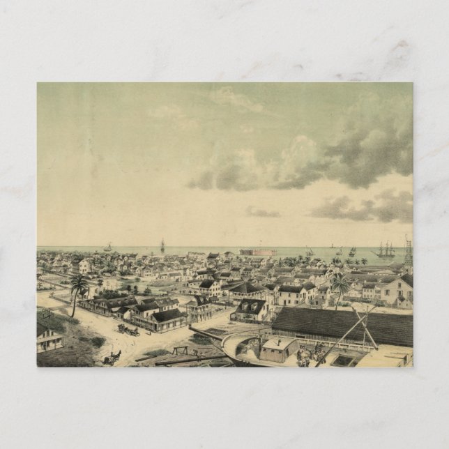Carte Postale Illustration vintage Key West (Devant)