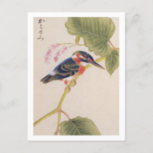Carte Postale illustration vintage : Kingfisher