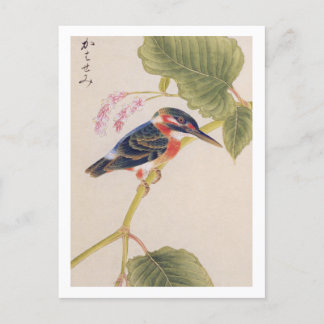 Carte Postale illustration vintage : Kingfisher