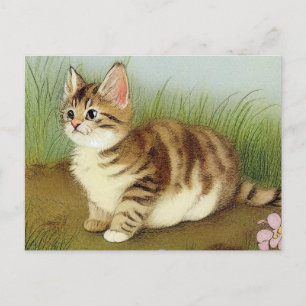 Carte Postale Illustration vintage Kitten avec fleurs