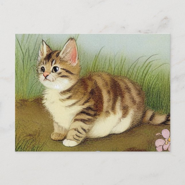 Carte Postale Illustration vintage Kitten avec fleurs (Devant)