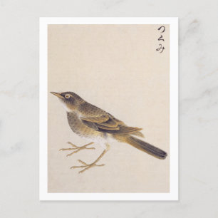 Carte Postale Illustration vintage : Poussée