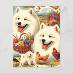 Carte Postale Illustration vintage Samoyed Dog